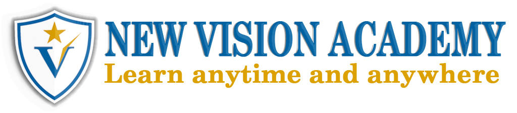 newvisonacademy.com